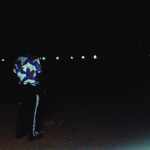 Telomic, Voicians — Night Echoes