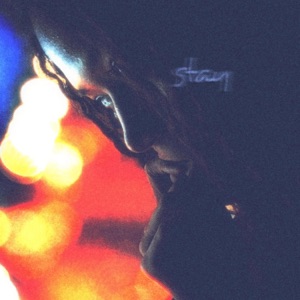 VOIDSHADE & Tiikk — Stay