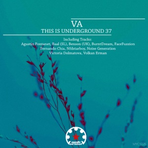 Volkan Erman — The Future