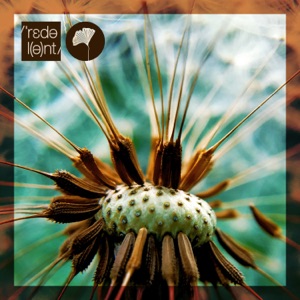 Vooz Brothers — Why (Original Mix)