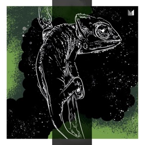 Carlo Whale, VOZA — Million Faces (D-Formation & GRAZZE Remix)