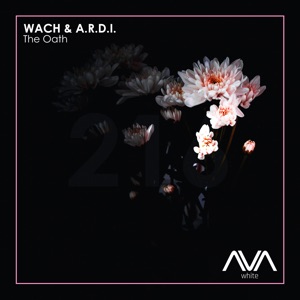 Wach & A.R.D.I. — The Oath