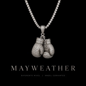 WARHOL.SS/B6 — Mayweather