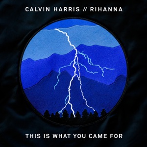 We Came — You Know (Original Mix)