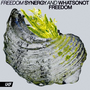 Synergy, What So Not — Freedom