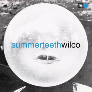 Wilco — Can't Stand It