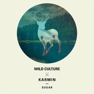 Wild Culture vs. Karmin — Sugar