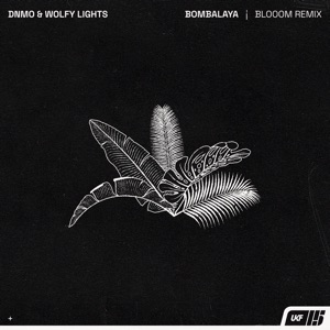 DNMO, Wolfy Lights — Bombalaya