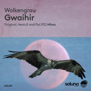 Wolkengrau — Gwaihir (Original Mix)