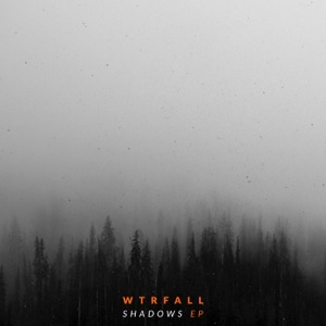 WTRFALL/RADIOFUZZ — Doubt
