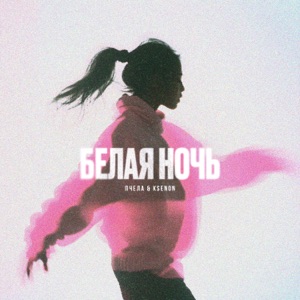 ПЧЕЛА — БЕЛАЯ НОЧЬ (2024)