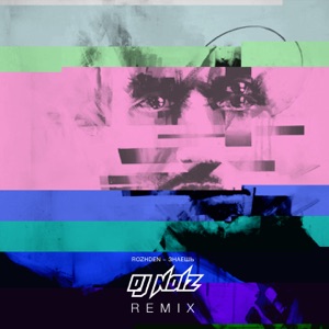  — -    (DJ Noiz Extended Mix)