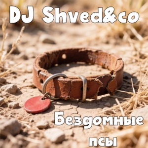  — DJ Shved&co -My Friends mix