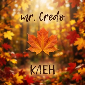 Мистер Кредо — Клен