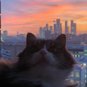 Хочу Все Знать — Джакарта