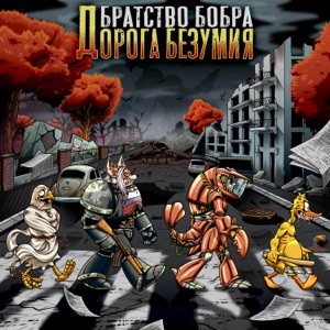 Братство Бобра — Чихуахуа