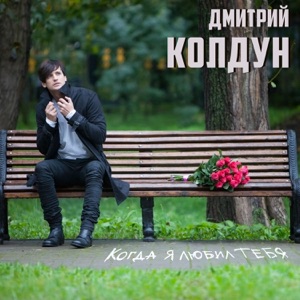 ДМИТРИЙ КОЛДУН — КОГДА Я ЛЮБИЛ ТЕБЯ