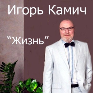 Владимир Бережков — Городок провинциальный
