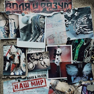 Воля и Разум — Не суди