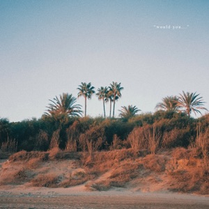Y.V.E. 48 — Would You