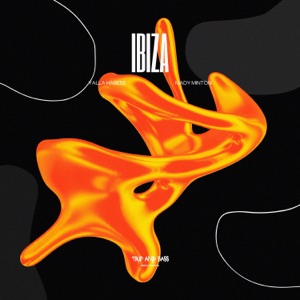Sam Allan, Yalla Habebe, Mady Minton — Out of Touch (Extended Mix)