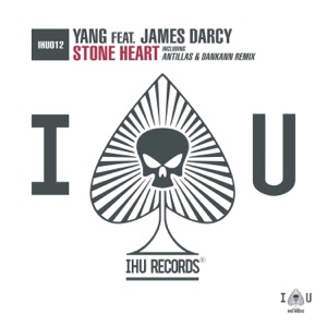 Yang ft. James Darcy feat. James Darcy — Stone Heart (Antillas & Dankann Radio Edit)