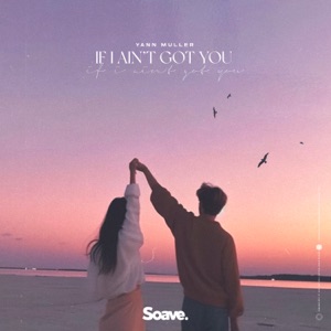 Yann Muller — If I Ain't Got You