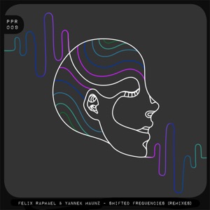 Felix Raphael, Yannek Maunz — Shifted Frequencies