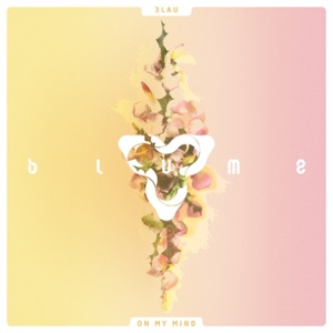 3LAU, Yeah Boy — On My Mind