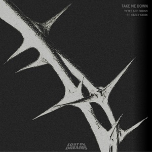 YETEP/IF FOUND — Take Me Down