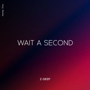 Z-DEEP — Wait a Second