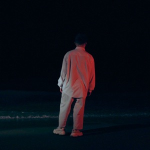 Zineken — Asylym