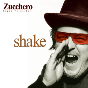 Zucchero — Baila
